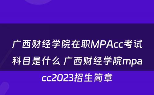 广西财经学院在职MPAcc考试科目是什么 广西财经学院mpacc2023招生简章