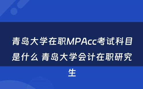 青岛大学在职MPAcc考试科目是什么 青岛大学会计在职研究生