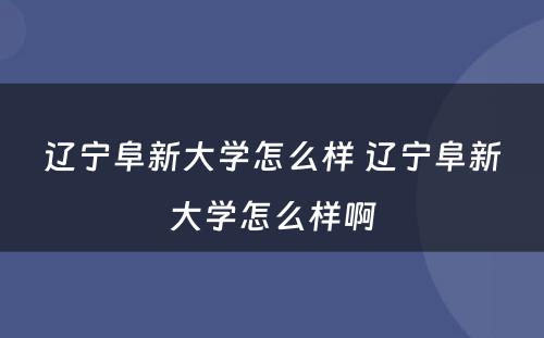 辽宁阜新大学怎么样 辽宁阜新大学怎么样啊