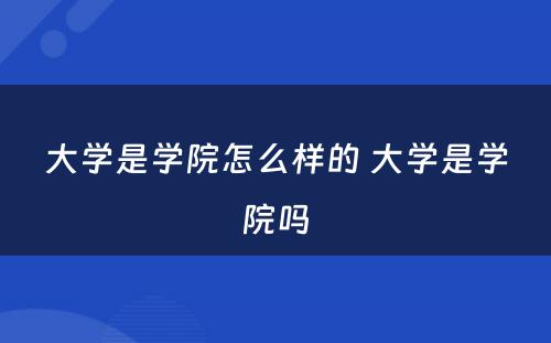 大学是学院怎么样的 大学是学院吗