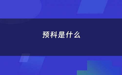 预科是什么