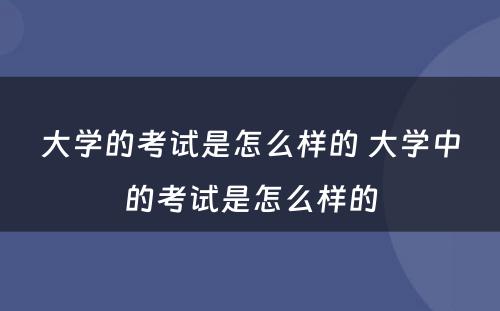 大学的考试是怎么样的 大学中的考试是怎么样的