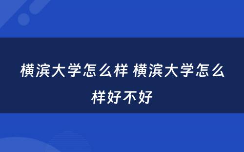 横滨大学怎么样 横滨大学怎么样好不好