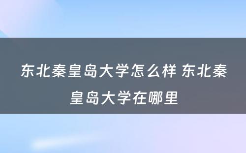 东北秦皇岛大学怎么样 东北秦皇岛大学在哪里