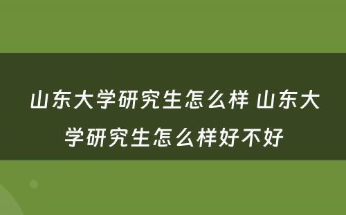 山东大学研究生怎么样 山东大学研究生怎么样好不好
