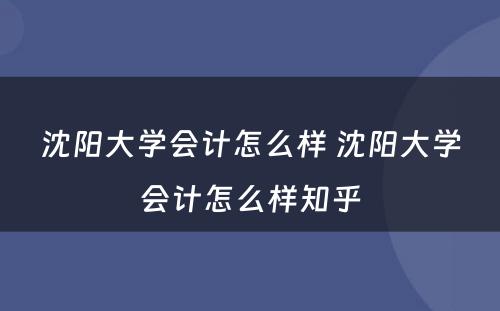 沈阳大学会计怎么样 沈阳大学会计怎么样知乎