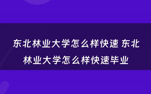 东北林业大学怎么样快速 东北林业大学怎么样快速毕业