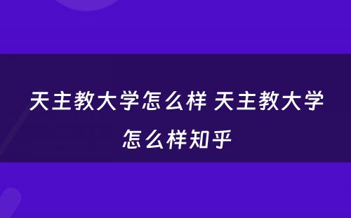 天主教大学怎么样 天主教大学怎么样知乎