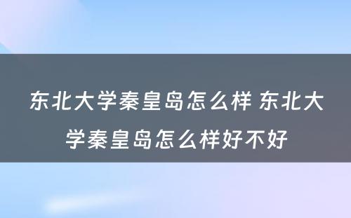 东北大学秦皇岛怎么样 东北大学秦皇岛怎么样好不好