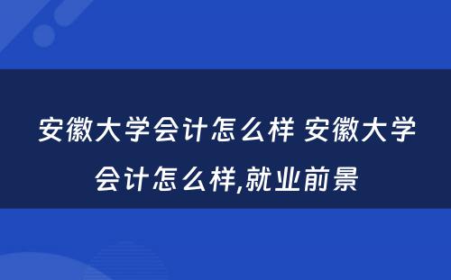 安徽大学会计怎么样 安徽大学会计怎么样,就业前景