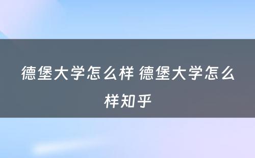 德堡大学怎么样 德堡大学怎么样知乎