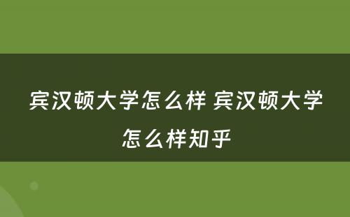 宾汉顿大学怎么样 宾汉顿大学怎么样知乎