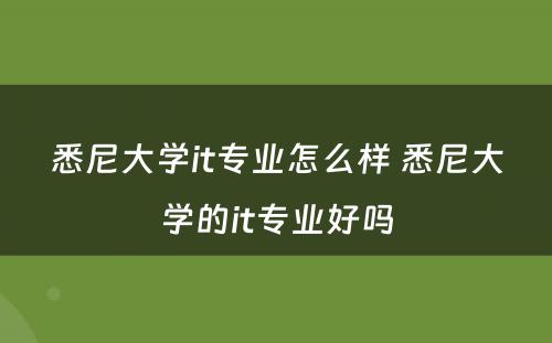 悉尼大学it专业怎么样 悉尼大学的it专业好吗