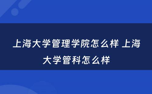 上海大学管理学院怎么样 上海大学管科怎么样