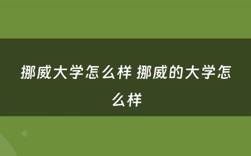 挪威大学怎么样 挪威的大学怎么样