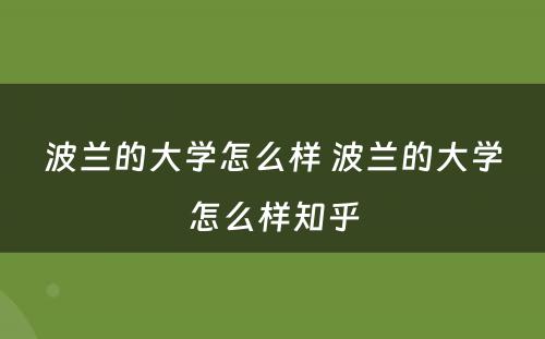 波兰的大学怎么样 波兰的大学怎么样知乎