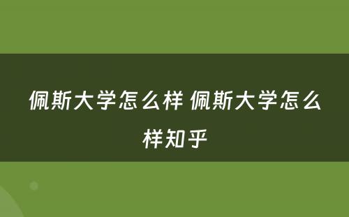 佩斯大学怎么样 佩斯大学怎么样知乎