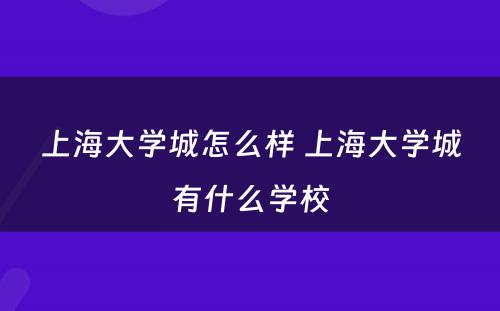 上海大学城怎么样 上海大学城有什么学校