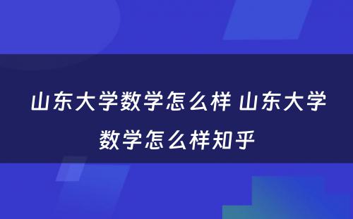 山东大学数学怎么样 山东大学数学怎么样知乎