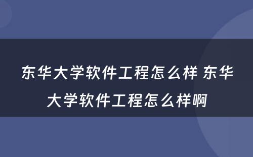 东华大学软件工程怎么样 东华大学软件工程怎么样啊