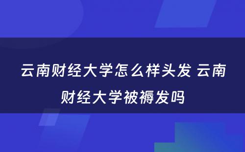 云南财经大学怎么样头发 云南财经大学被褥发吗