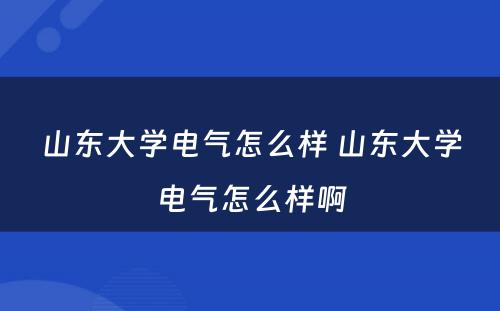 山东大学电气怎么样 山东大学电气怎么样啊