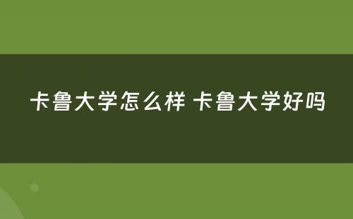 卡鲁大学怎么样 卡鲁大学好吗