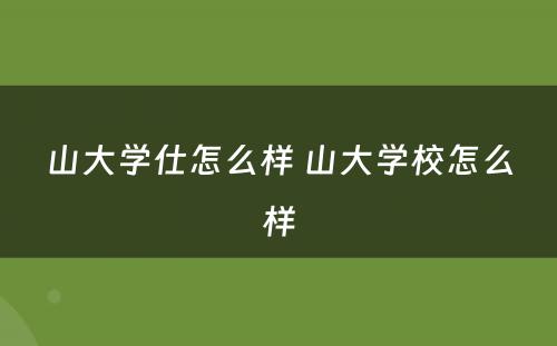 山大学仕怎么样 山大学校怎么样