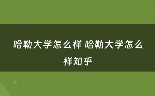 哈勒大学怎么样 哈勒大学怎么样知乎