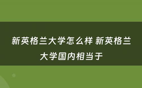 新英格兰大学怎么样 新英格兰大学国内相当于