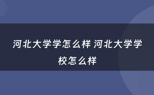 河北大学学怎么样 河北大学学校怎么样