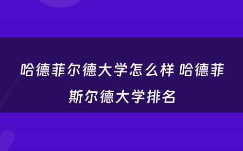 哈德菲尔德大学怎么样 哈德菲斯尔德大学排名