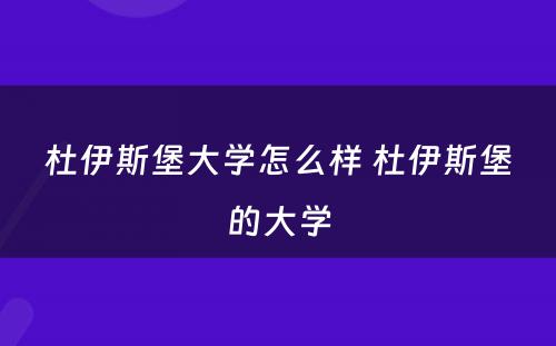 杜伊斯堡大学怎么样 杜伊斯堡的大学