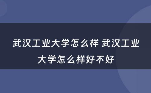 武汉工业大学怎么样 武汉工业大学怎么样好不好
