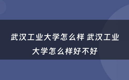 武汉工业大学怎么样 武汉工业大学怎么样好不好