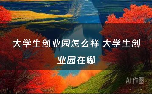 大学生创业园怎么样 大学生创业园在哪