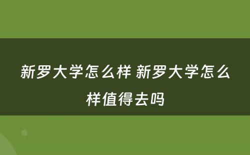 新罗大学怎么样 新罗大学怎么样值得去吗