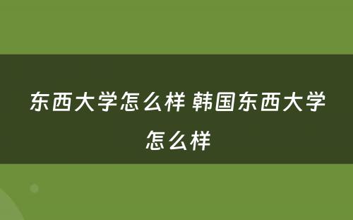 东西大学怎么样 韩国东西大学怎么样