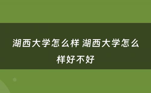 湖西大学怎么样 湖西大学怎么样好不好