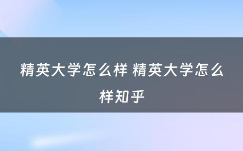 精英大学怎么样 精英大学怎么样知乎