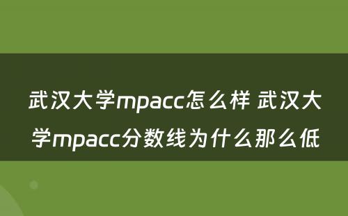 武汉大学mpacc怎么样 武汉大学mpacc分数线为什么那么低