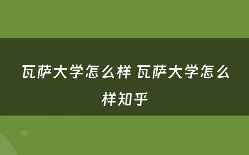 瓦萨大学怎么样 瓦萨大学怎么样知乎