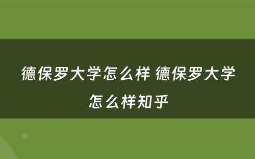 德保罗大学怎么样 德保罗大学怎么样知乎