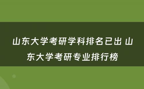 山东大学考研学科排名已出 山东大学考研专业排行榜