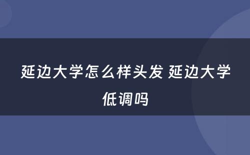 延边大学怎么样头发 延边大学低调吗