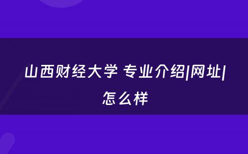 山西财经大学 专业介绍|网址|怎么样