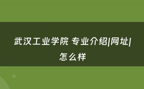 武汉工业学院 专业介绍|网址|怎么样