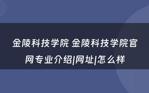 金陵科技学院 金陵科技学院官网专业介绍|网址|怎么样