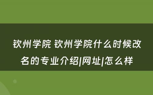 钦州学院 钦州学院什么时候改名的专业介绍|网址|怎么样