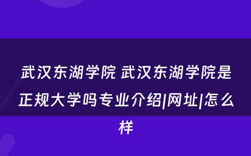 武汉东湖学院 武汉东湖学院是正规大学吗专业介绍|网址|怎么样